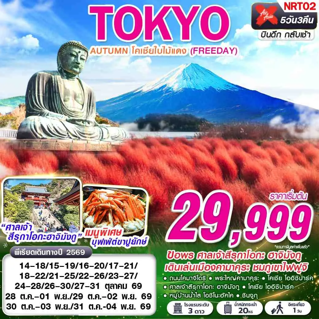 ทัวร์ญี่ปุ่น TOKYO AUTUMN โคเชียใบไม้แดง (ฟรีเดย์) 5วัน 3คืน (XJ)